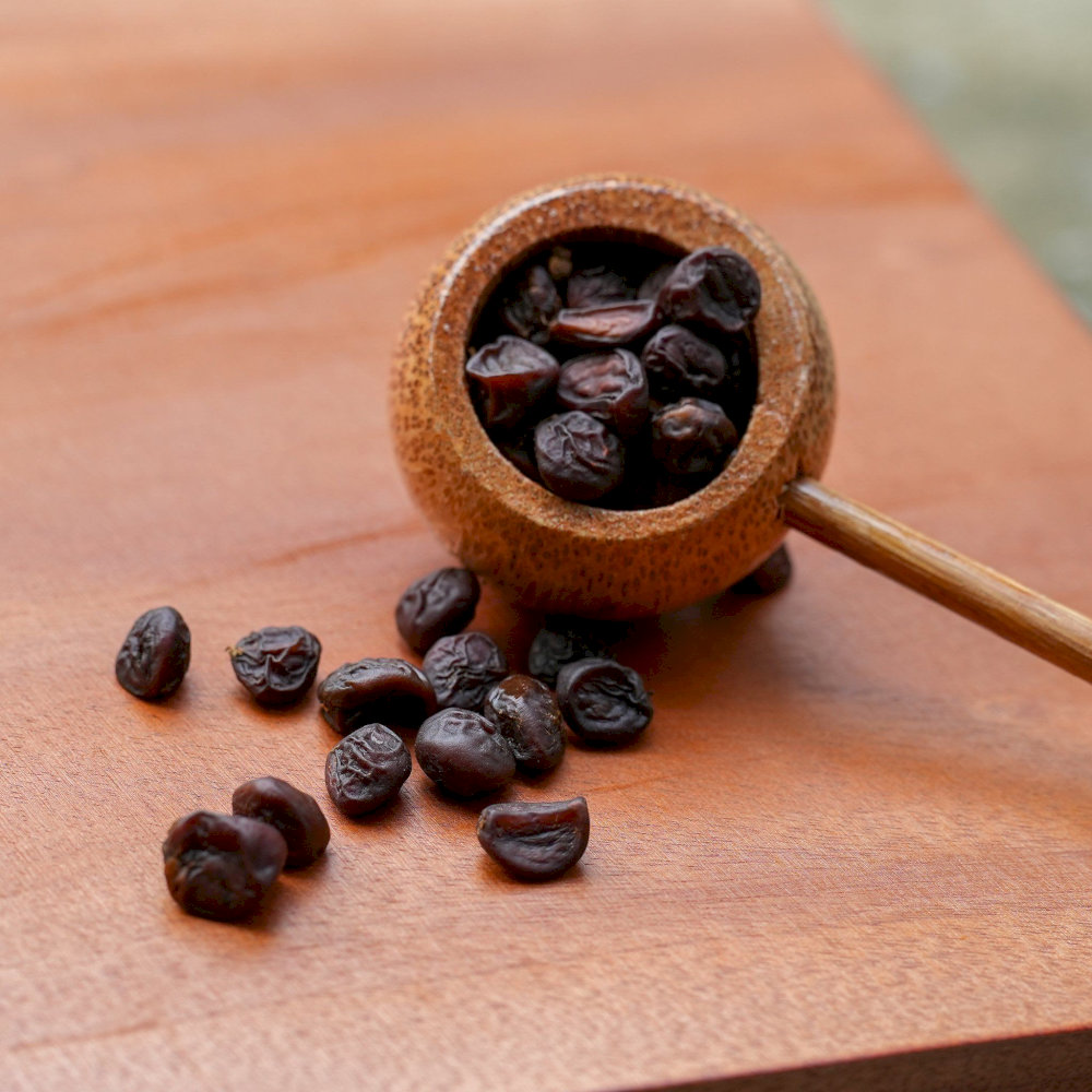 Hạt dổi Tây Bắc